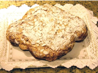colomba xy01